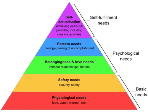 The Health Triangle: What It Is and How to Keep It Balanced Health Triangle